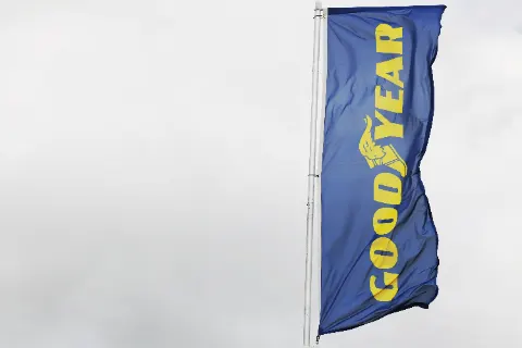 Goodyear 0RL16895