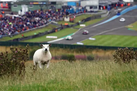 BTCC R6TB2625