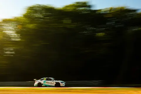 halstead 011A9339