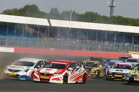 shedden_02