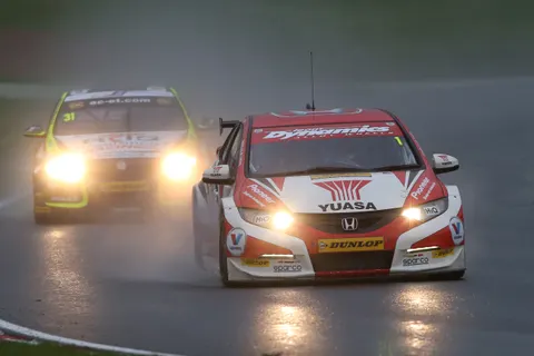 shedden3
