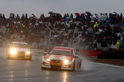 shedden912