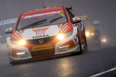 shedden7