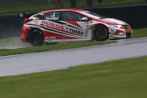 shedden2