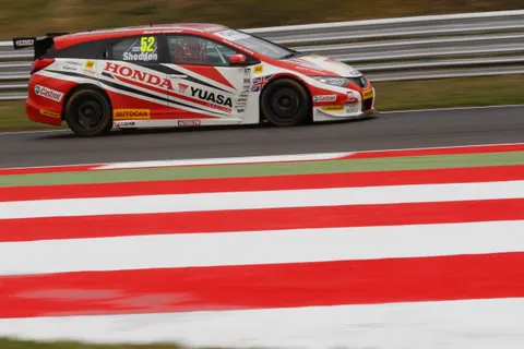 Shedden-05