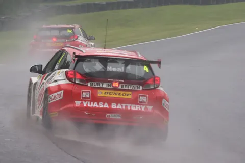 Shedden