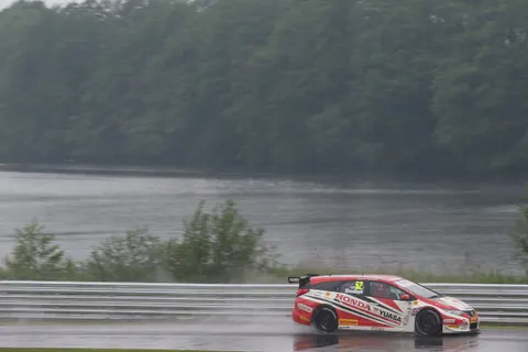 Shedden3