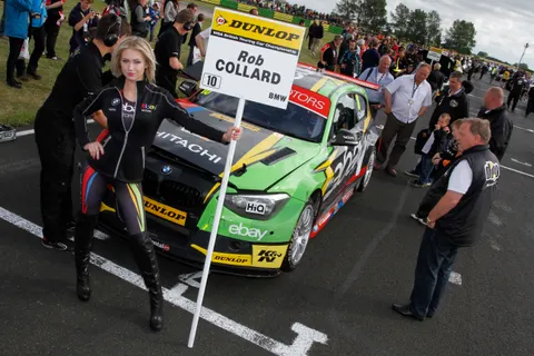 Collard7