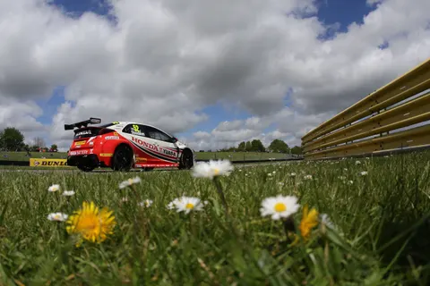 Shedden-07