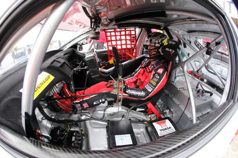 Shedden-06