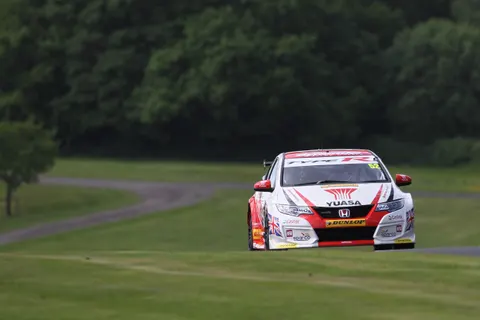 Shedden11