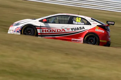 Shedden-02