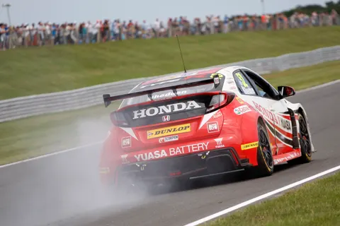 Shedden2