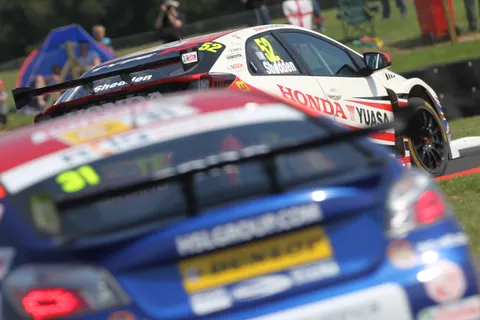 Shedden5