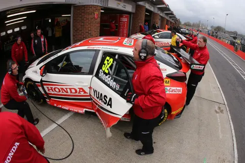 Shedden-3