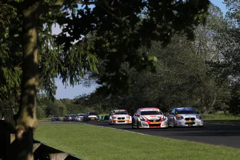Collardshedden-7