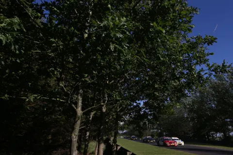 BTCC4