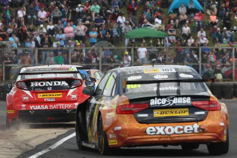 Shedden-1