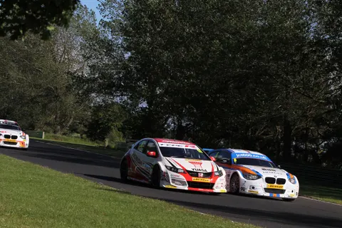 Collardshedden-5