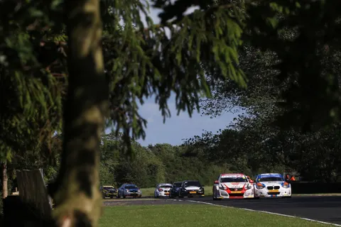 Collardshedden-8