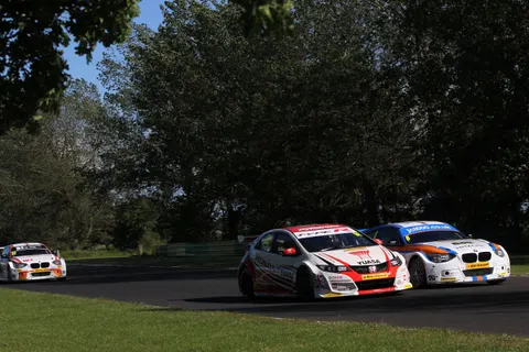 CollardShedden3