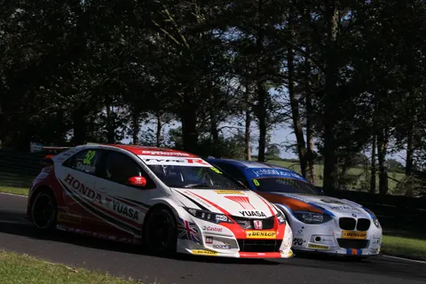 Collardshedden-4