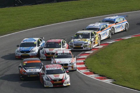 Shedden-4