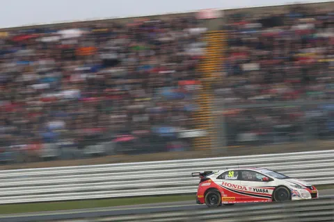 Shedden-1