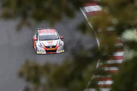 Shedden-2