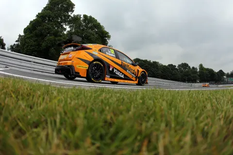 Shedden4