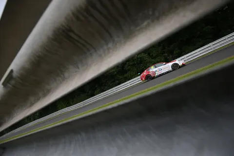 Sutton4