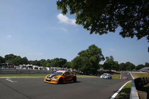 Shedden6