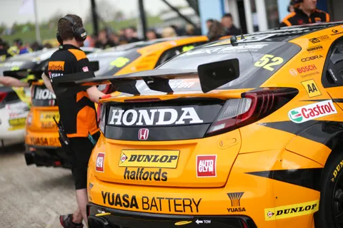 Shedden-5