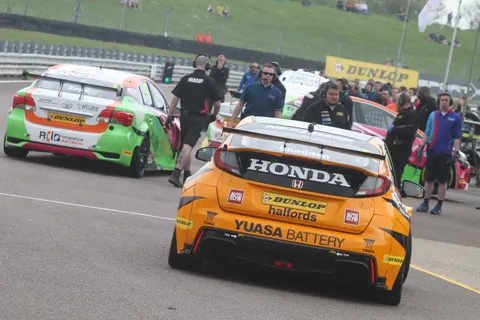 Shedden-1