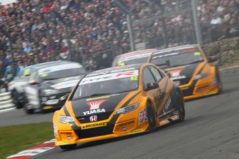 Shedden (2)