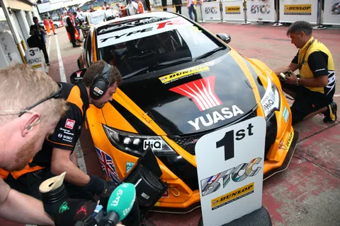 Shedden1