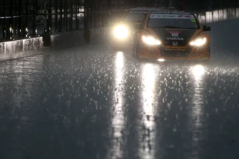 Shedden5