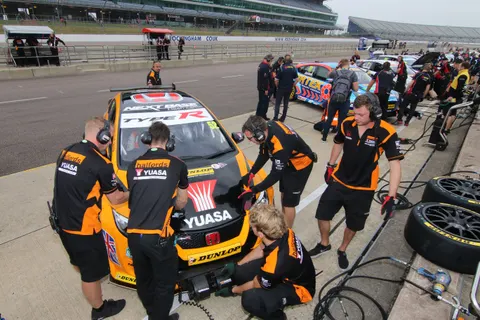 Shedden-2