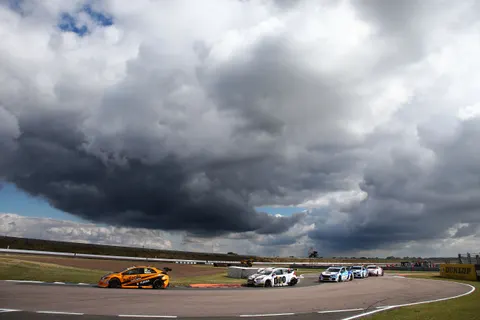 Shedden2