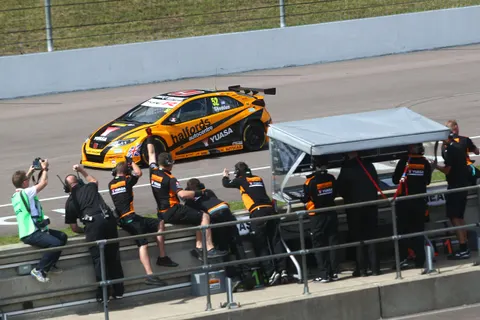 Shedden-20
