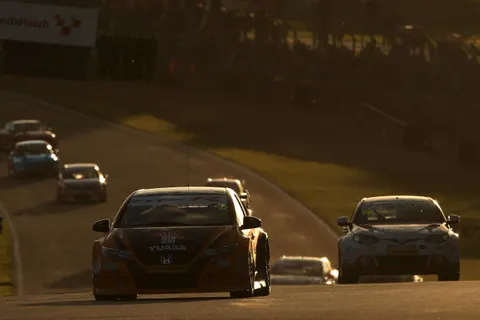 Shedden91