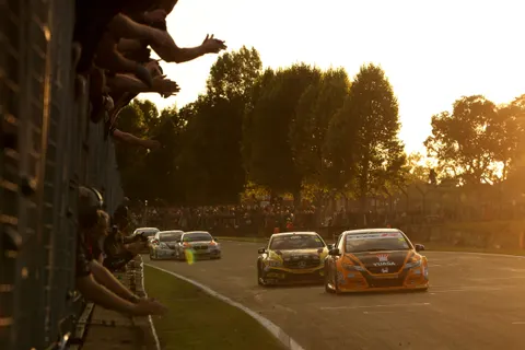 Shedden10