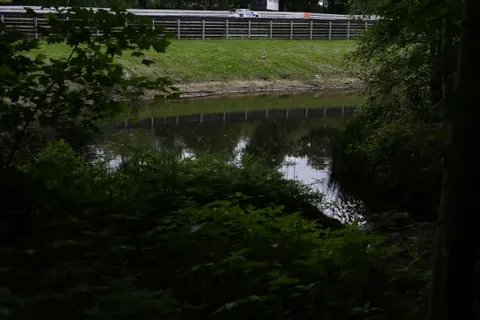 Sutton