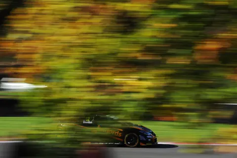Shedden-7