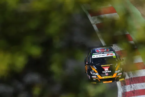 Shedden-1
