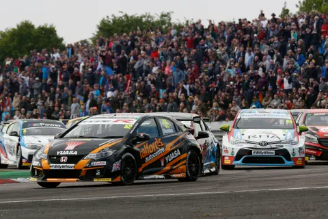 Shedden2