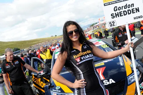 Shedden-2
