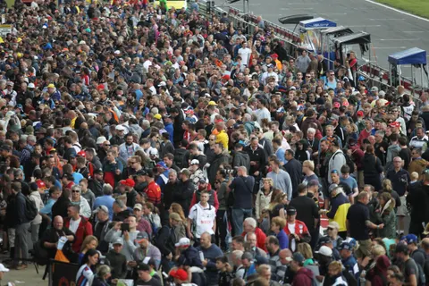 Fans (2)