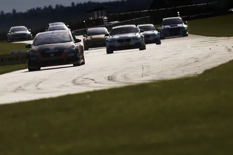 Shedden2