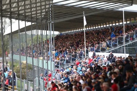 Crowd-2